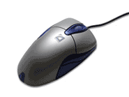 mouse
